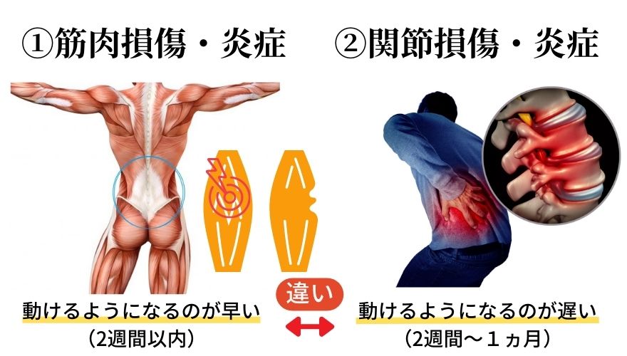 ①筋肉の損傷　②関節の損傷